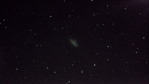 NGC 2976 - Galaxy - Member of M81 Group - Captured on 02/01/2022