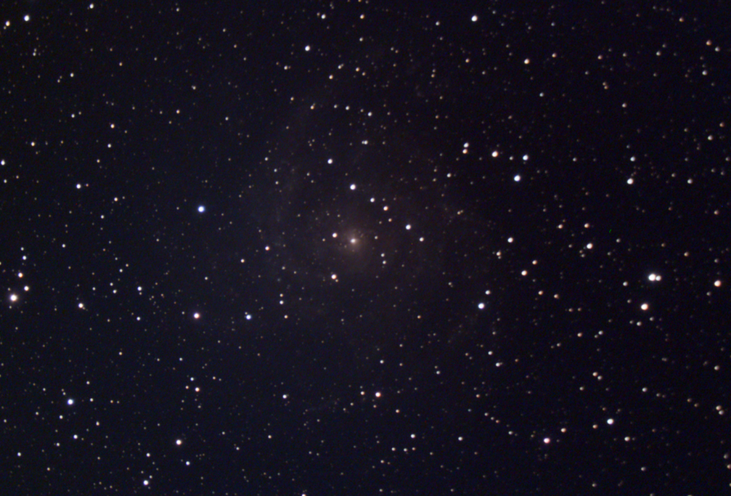 IC 342, Galaxy, EAA Capture 03/20/2023