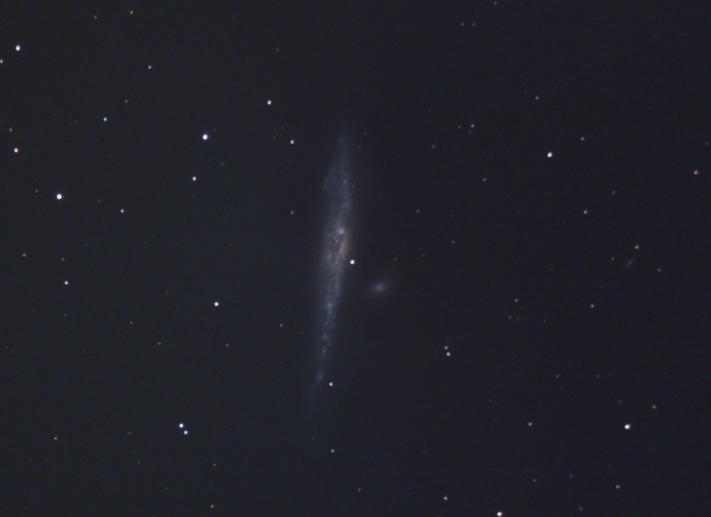 NGC 4631, The Whale Galaxy, EAA Capture 03/20/2023