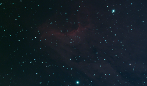 IC 5070, The Pelican Nebula, EAA Capture 10/28/2023