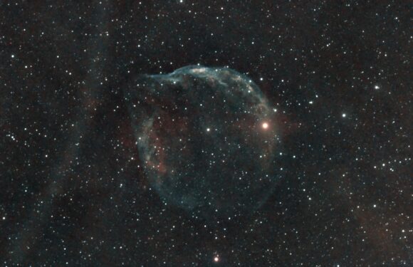 01/21/2024 – More Light from the Dolphin Head Nebula