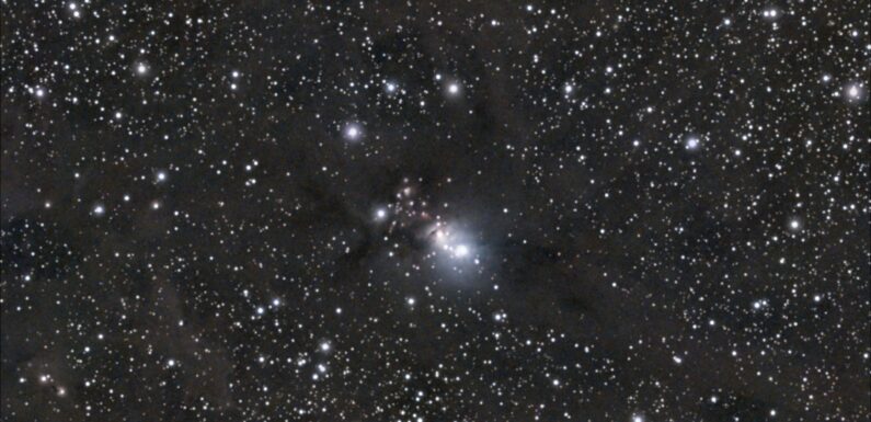 01/11/2024 – NGC 1333 – A Reflection and Dark Nebula