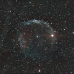 The Dolphin Head Nebula, SH2-308, LBN 1052, 37 x 180 seconds captured on 01/20/2024, stacked and processed in Siril.