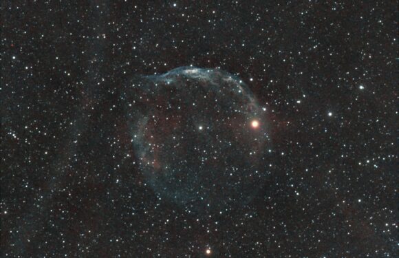 01/20/2024 – The Dolphin Head Nebula