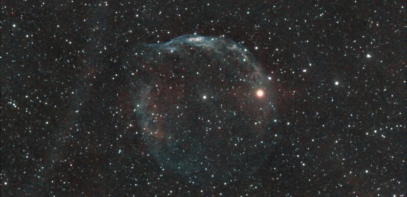 01/20/2024 – The Dolphin Head Nebula