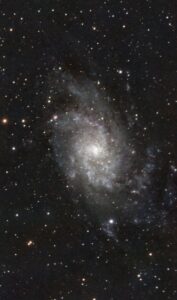 Messier 33, M33, The Triangulum Galaxy - 11/01/2025 - SeeStar - 390 x 20 seconds - IRCUT - Processed in PixInsight