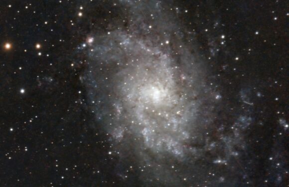 SeeStar EQ Mode, M33 on 11/01/2025