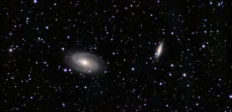01/15/2026 – M81 and M82